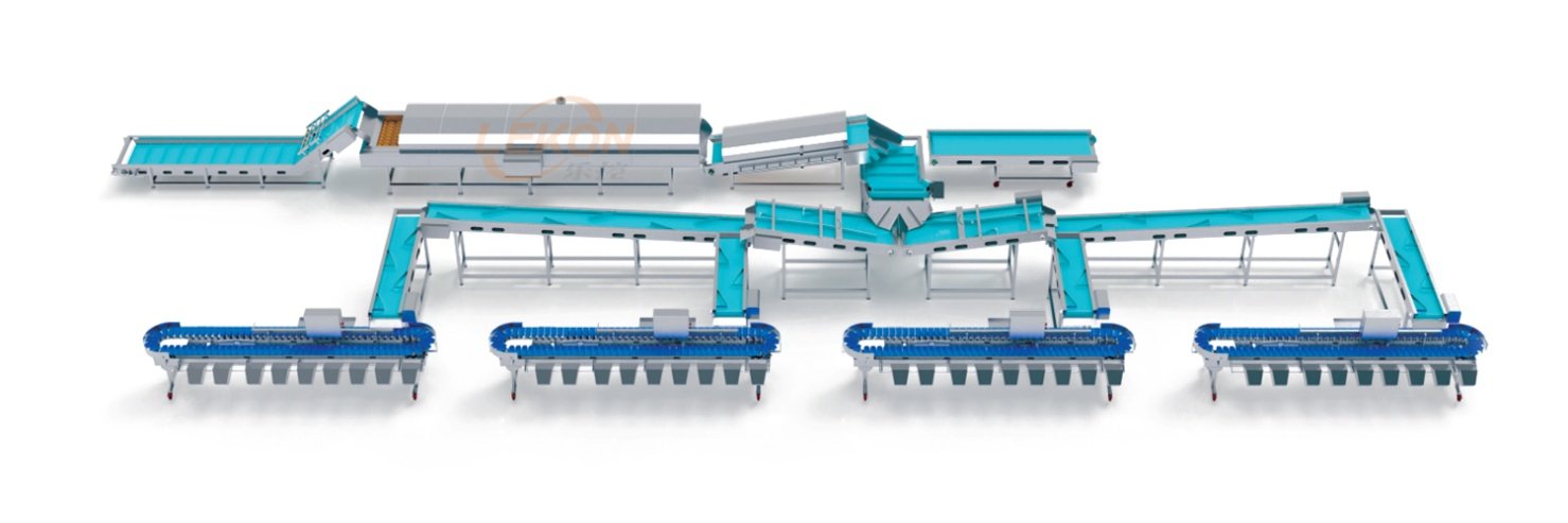 Fish Bleeding Chilling Tank