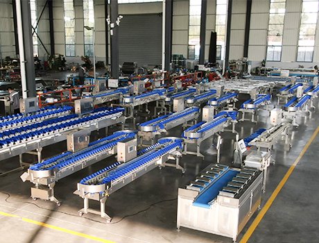 Fish Bleeding Chilling Tank