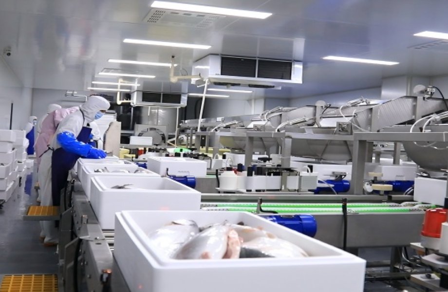 Frozen Fish Block Thawing Machines